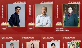 电视剧奖项有哪些,盘点电视剧界的璀璨奖项